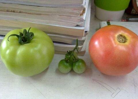 @ӵtɳԵģСΣĽ