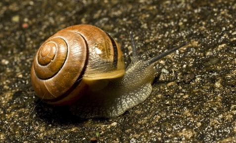 ΁ţğЧc2
