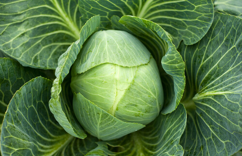 ʏݼğЧc6