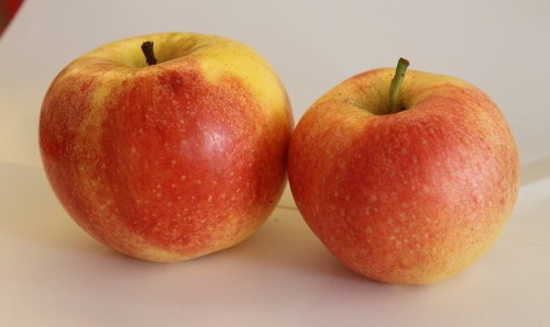 OĹЧc,OĠIBrֵ,OЩЧ