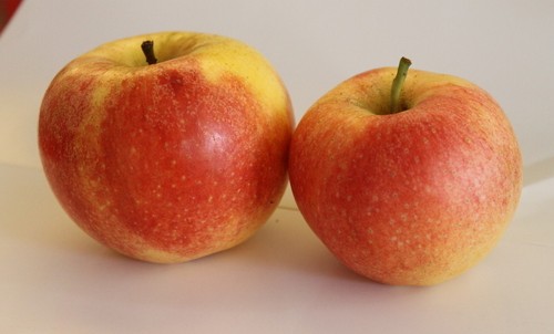OĹЧc,OĠIBrֵ,OЩЧ