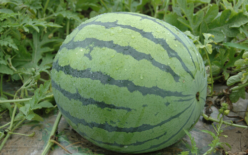 ϵĹЧc,ϵĠIBrֵ