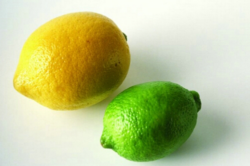 ҊʳƷĸ