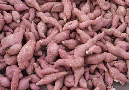 عϵĠIBrֵ,عϵ