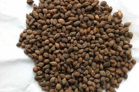 ʵĹЧc