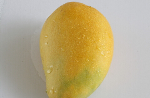 ЋDԳâ