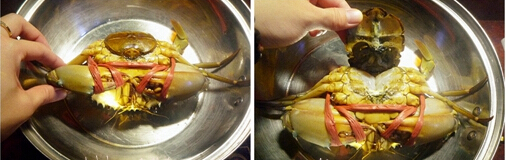 з,зôó,зļҳЈDE2