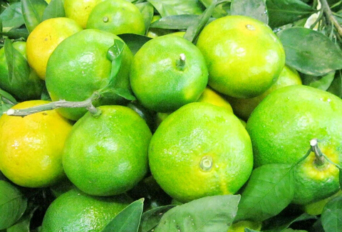 ӵĹЧc,ӵĠIB(yng)rֵ