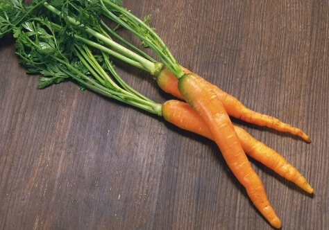 ԵMĺ}ĠIB