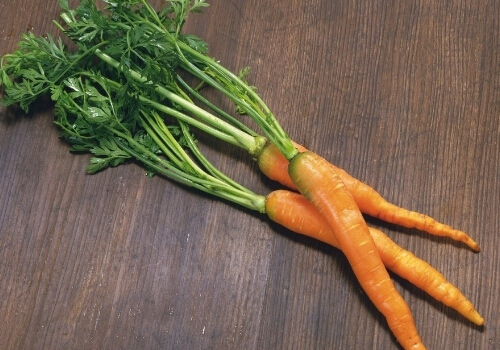 Ժ}]к̎